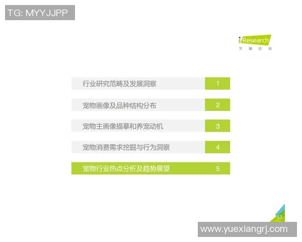 北京攀岩队边路渗透策略解析与攀岩热点发展趋势探讨 北京攀岩队边路渗透策略解析与攀岩热点发展趋势探讨