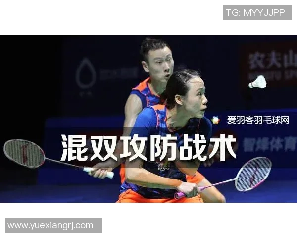 成都羽毛球队战术表现深度分析与数据解读探讨